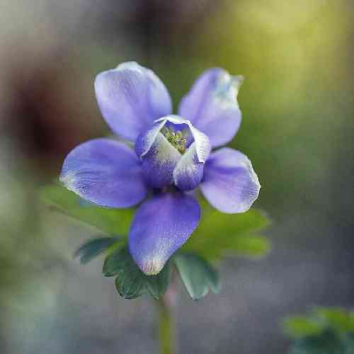 امیر قزوینی بهم گفتن که از یارت جدا شو که یار جانه